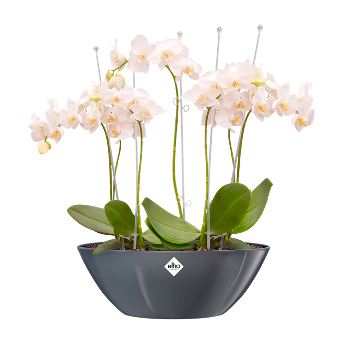 brussels diamond ovale 36cm anthracite